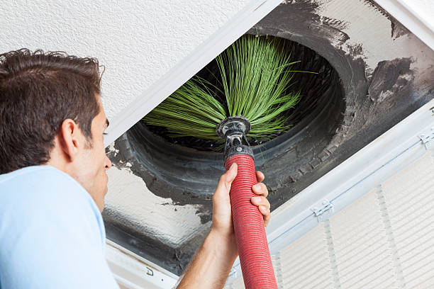 Best Ventilation Cleaning Services  in Olga, FL